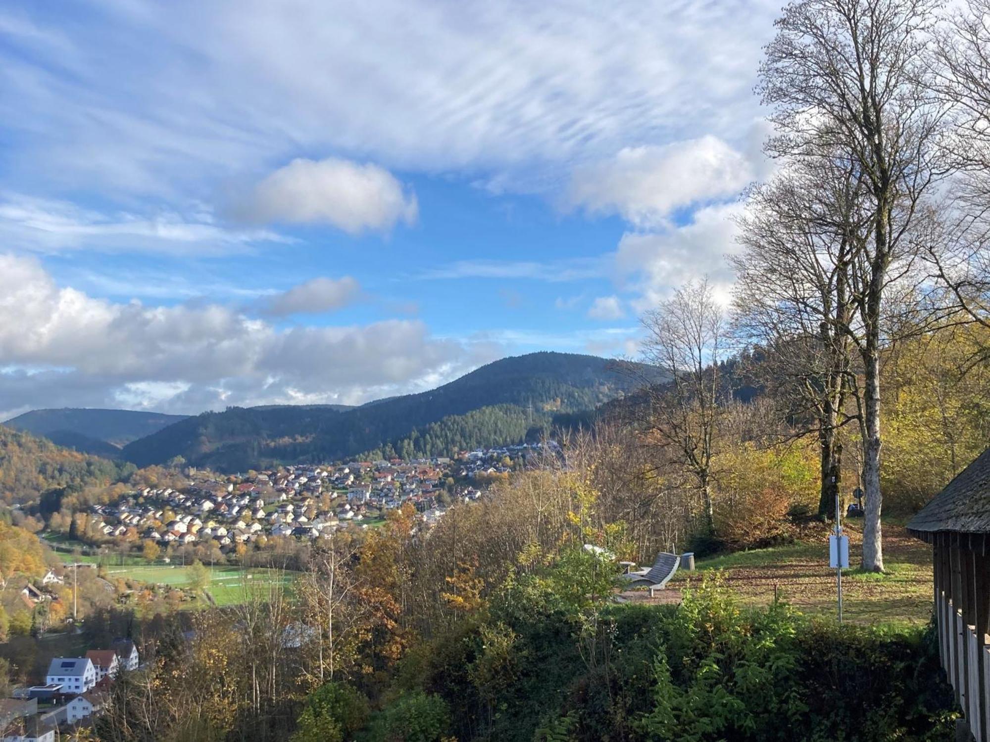 Ferienwohnung Das Nest Schiltach Eksteriør bilde