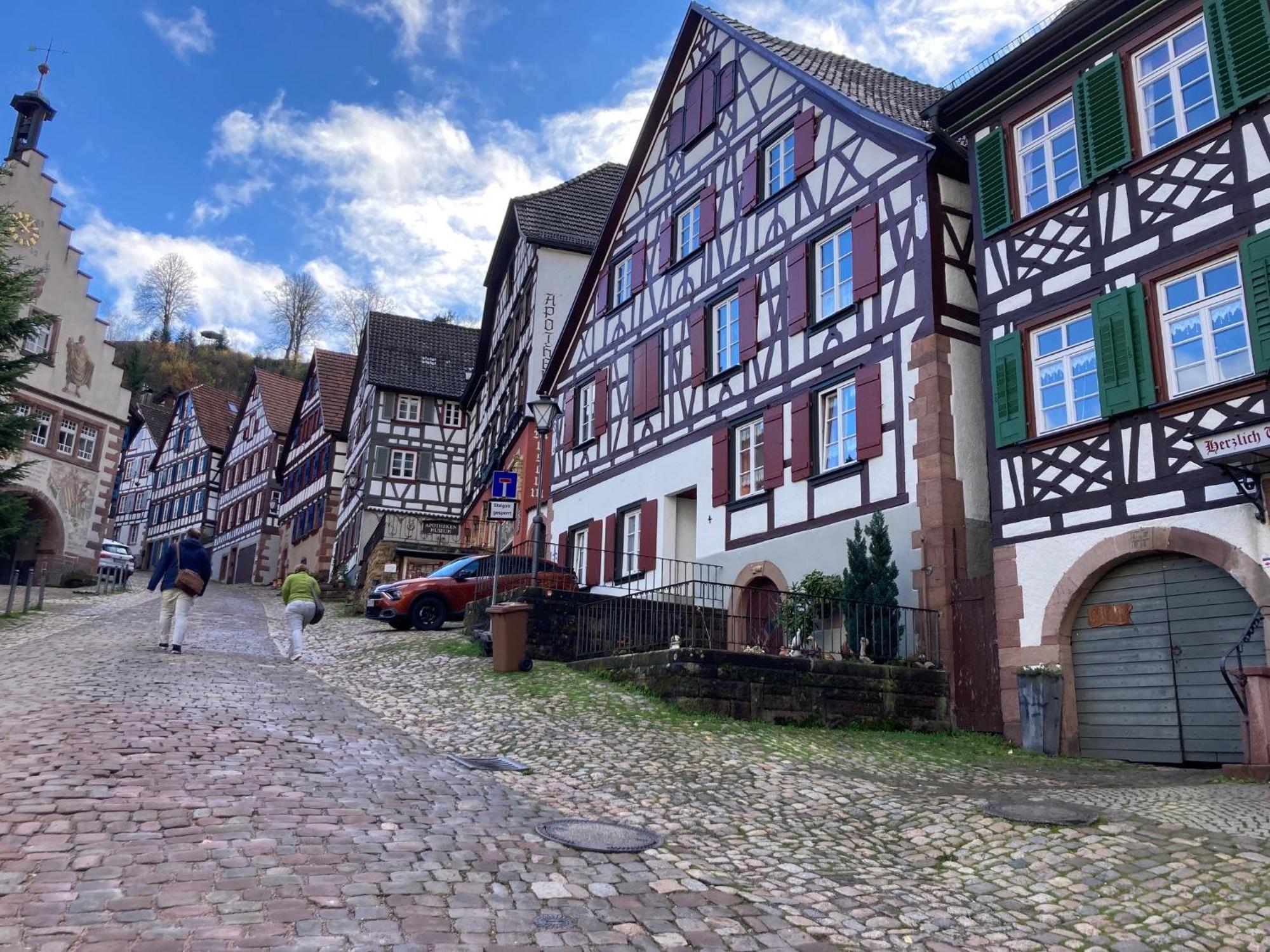 Ferienwohnung Das Nest Schiltach Eksteriør bilde